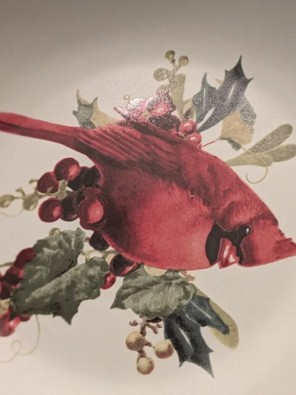 Lenox Winter Greetings Everyday Cardinal Multi-Use Shallow 9